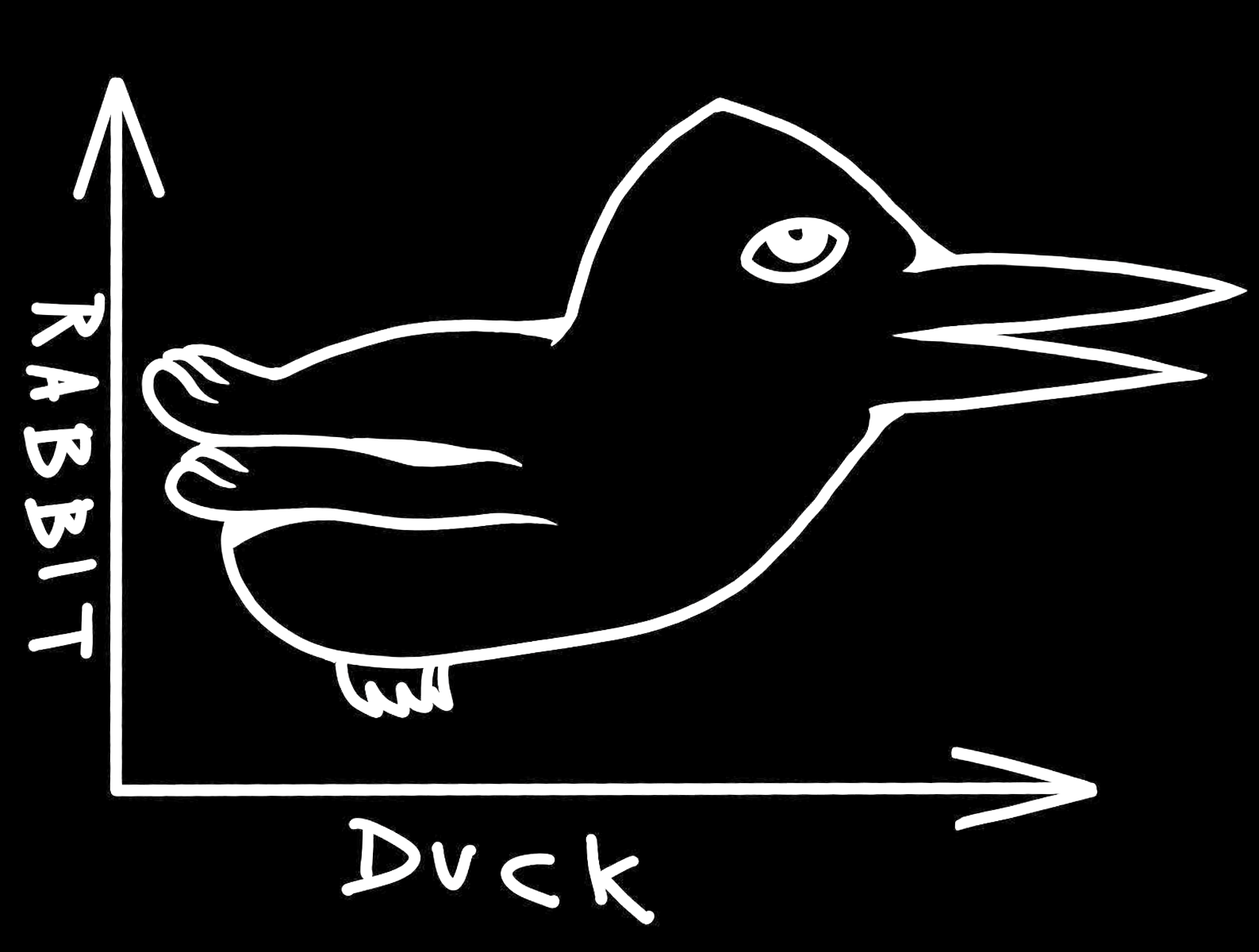 RABBIT/DUCK Interdisciplinary Art Festival